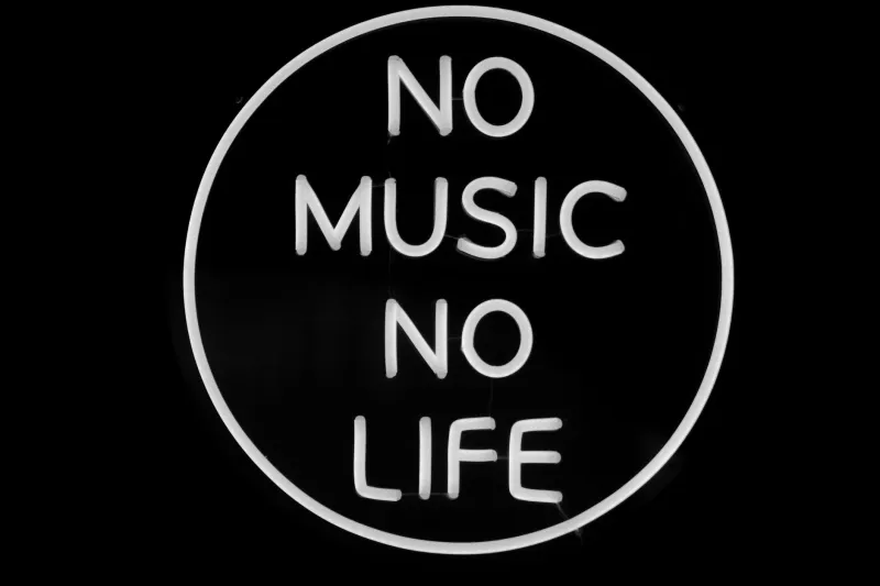 Keep Out (On Purpose): How Niche Music Fandoms Are Building Walls to Keep the Magic In